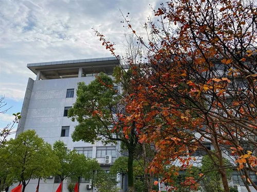 安徽汽車職業(yè)技術(shù)學(xué)院與襄陽(yáng)汽車職業(yè)技術(shù)學(xué)院2022年報(bào)考指導(dǎo)